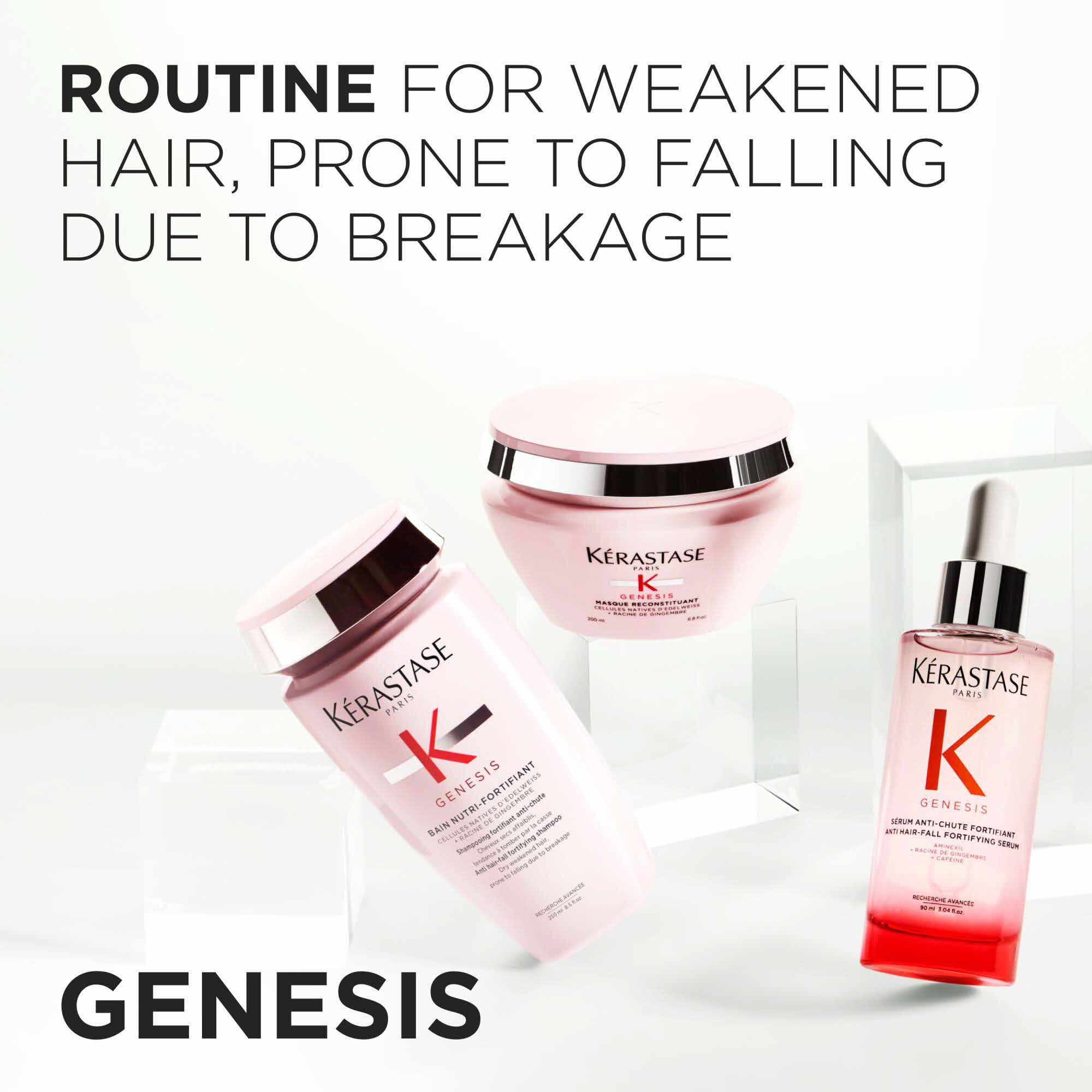 GENESIS ROUTINE FOR DRY WEAKENED HAIR