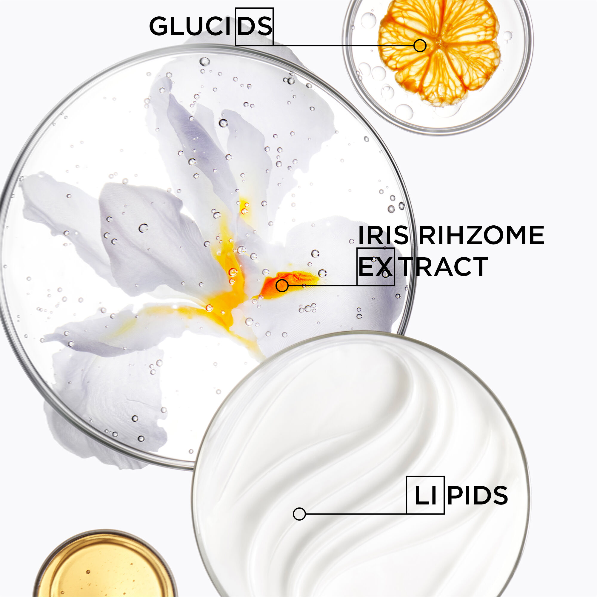 Nutritive Set For Dry, Fine To Medium Hair
